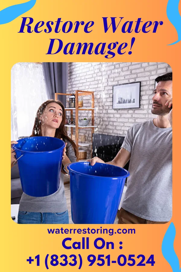 water restoration Solid Water Cleanup Company Burlington