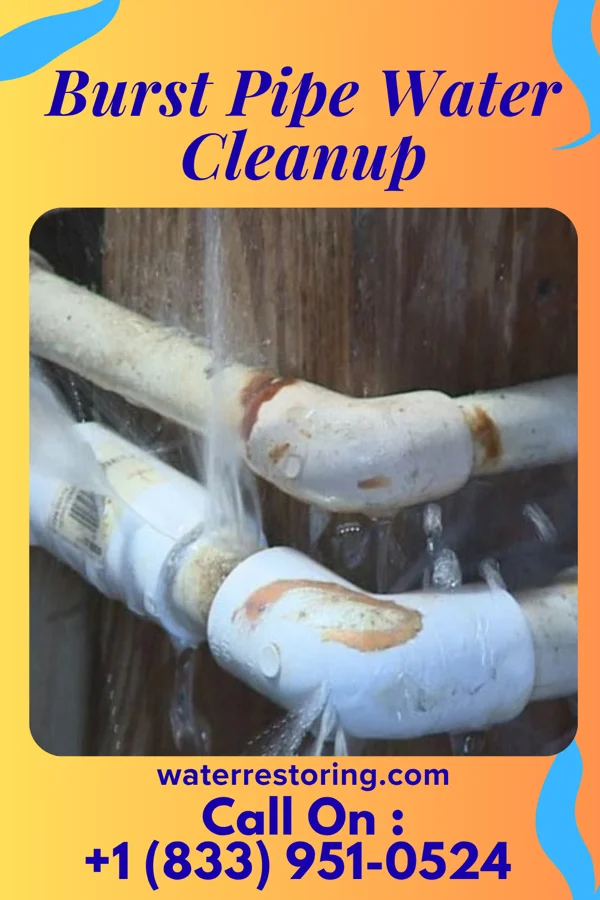 Burst Pipe Water Cleanup in Burlington, WI