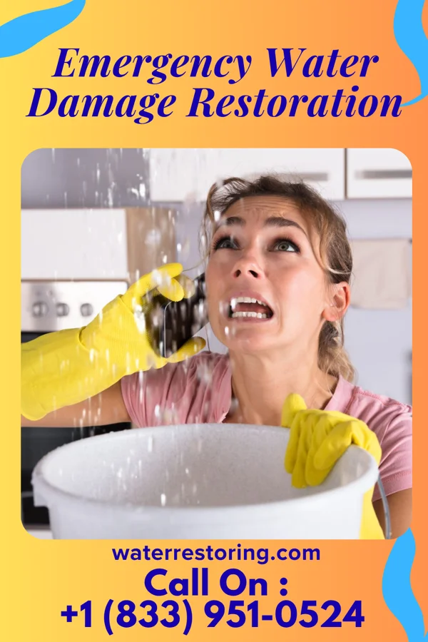 Emergency Water Damage Restoration in Burlington, WI