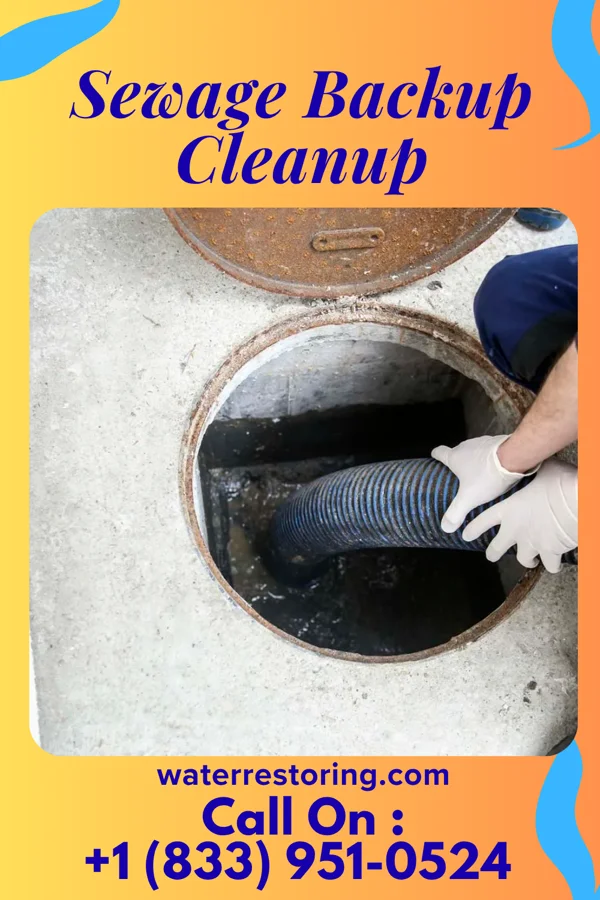 Sewage Backup Cleanup in Burlington, WI